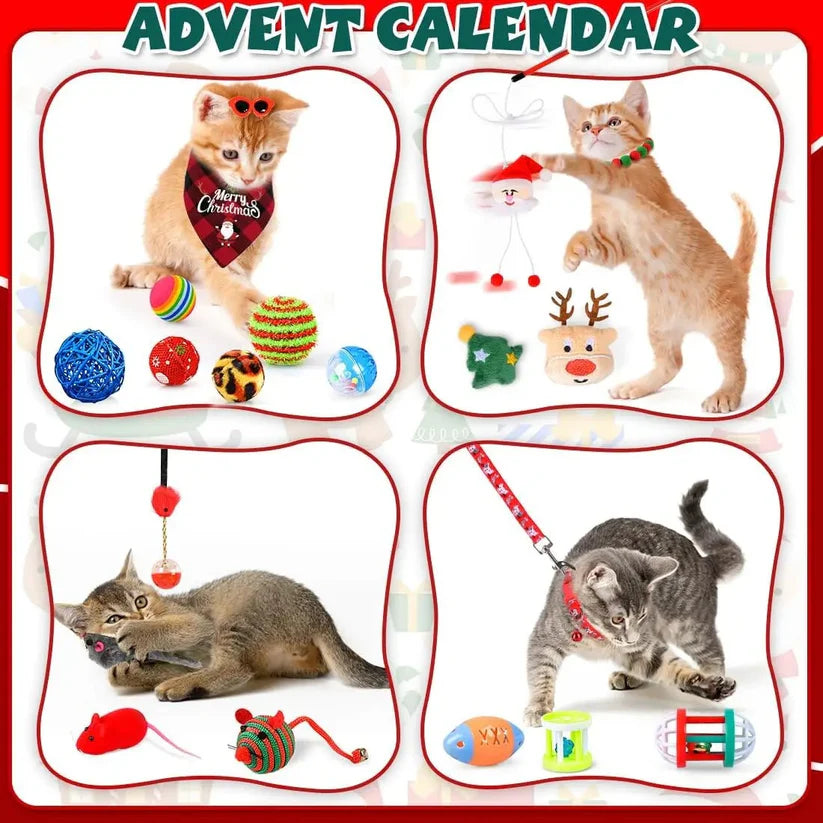 Kitty Advent Calendar