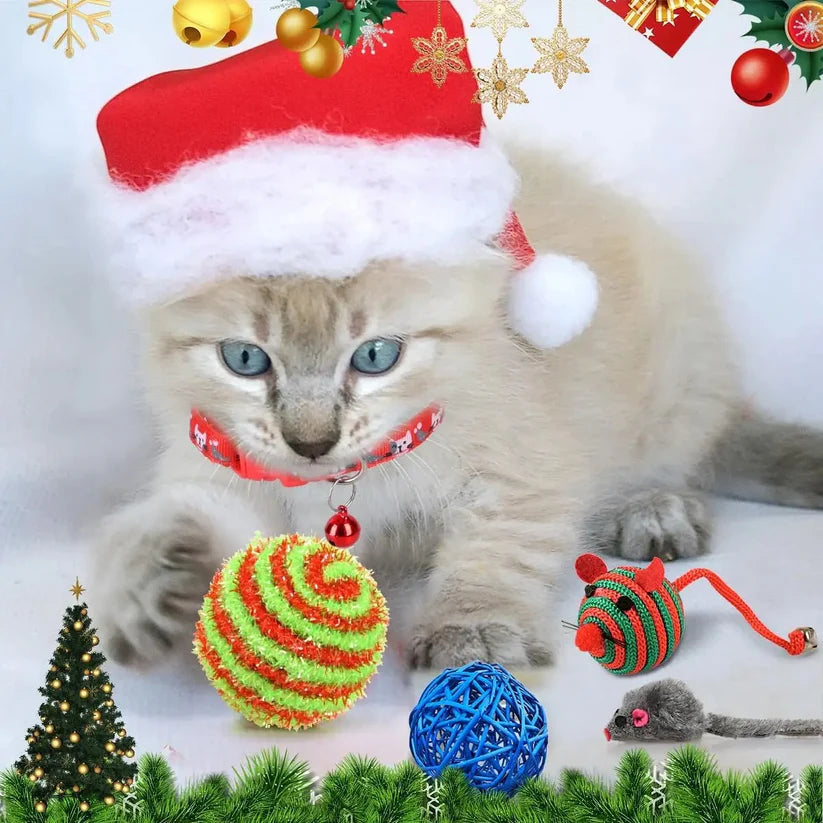 Kitty Advent Calendar