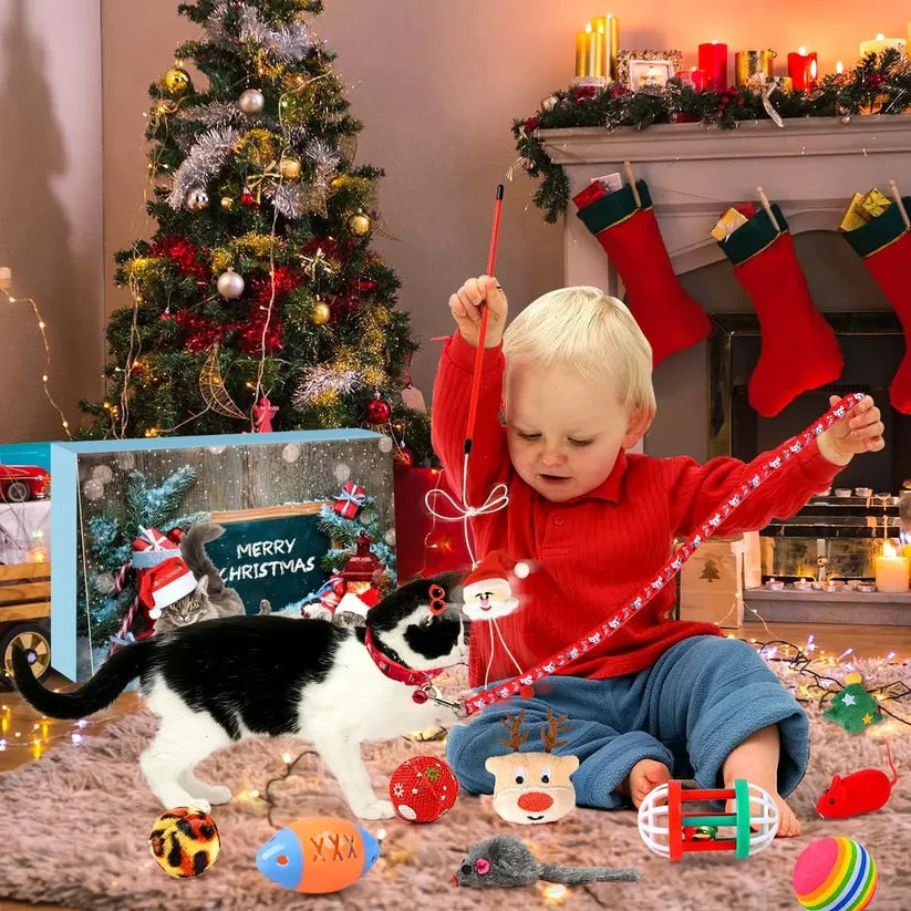 Kitty Advent Calendar