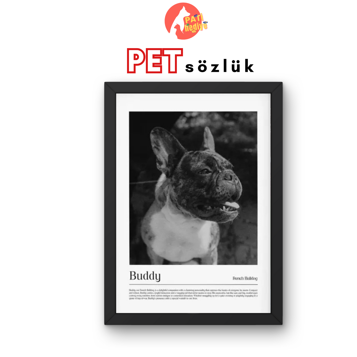 Pet Portre Sözlük