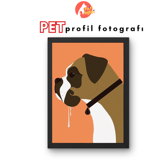 Pet Profil Fotoğrafı