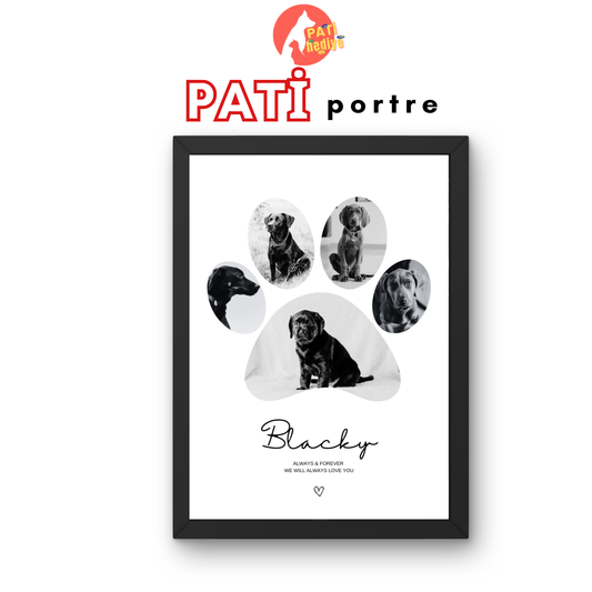 Pati Portre Tablosu
