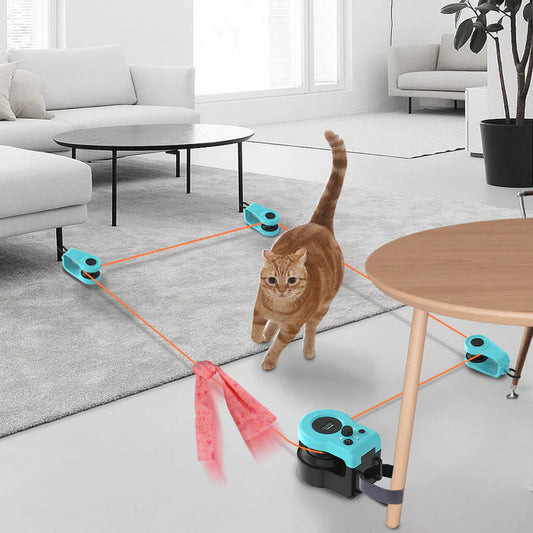 Patihediye Kedi Oyuncağı