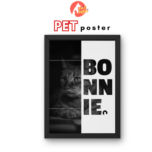 Pet Poster Tablosu