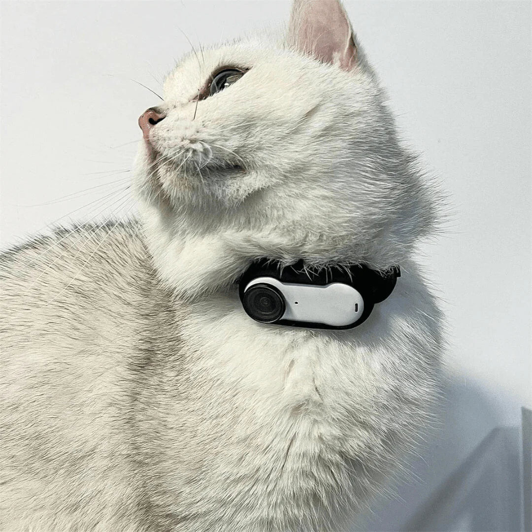 Pati Hediye™ Kedi Köpek Tasma Kamerası