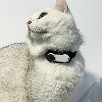 Pati Hediye™ Kedi Köpek Tasma Kamerası