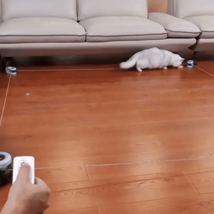 Patihediye Kedi Oyuncağı